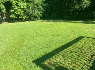Alexis A.'s Lawn Maintenance service result