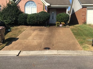Bush Trimming by Brandon Reed for Monica M. in Arlington, TN