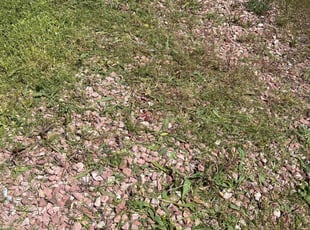 Cleanups by Ant B for Billie T. in Fountain, CO