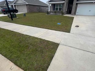 Sandy W.'s Lawn Mowing Service service result