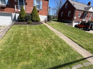 Nanette M.'s Lawn Mowing service result