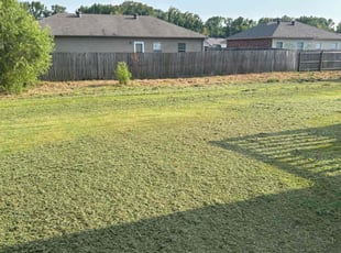 Angela E.'s Grass Cutting service result