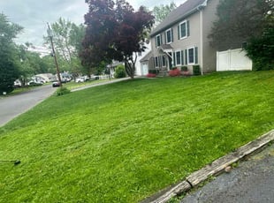 Derek D.'s Lawn Mowing Service service result