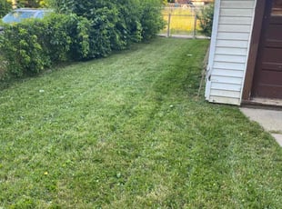 Carrie H.'s Yard Cutting service result