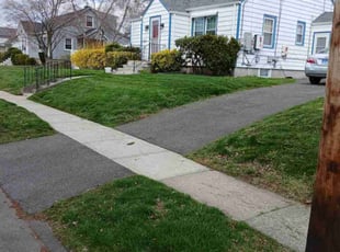 Johnna L.'s Lawn Maintenance service result