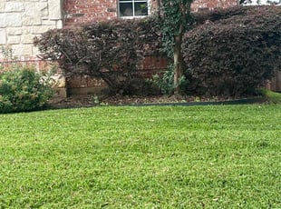Bush Trimming by Alex Padron for Porcia G. in Flower Mound, TX