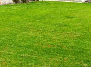 Carl F.'s Lawn Care service result