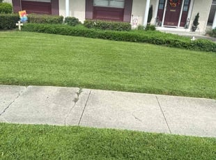 Mark M.'s Lawn Mowing service result