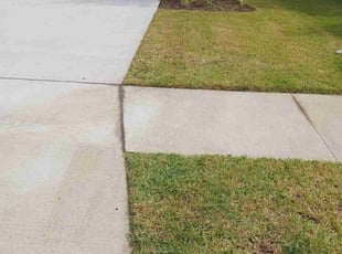 George O.'s Yard Cutting service result