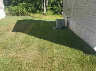 Rain H.'s Lawn Mowing service result