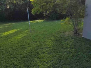 Jacques B.'s Lawn Service service result