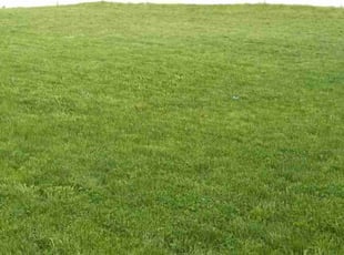Stephen R.'s Lawn Service service result