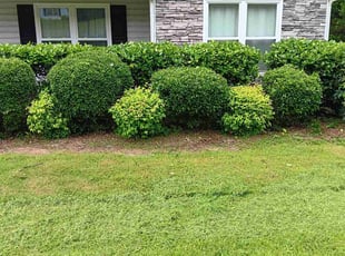Bush Trimming by Tony Brooks III for Michael S. in Bethlehem, GA