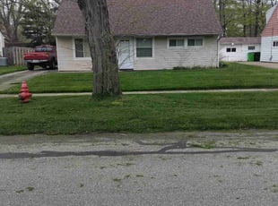 Shane R.'s Yard Cutting service result
