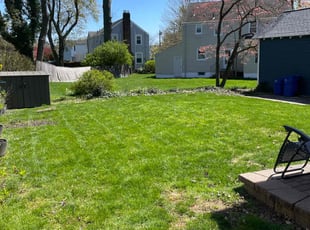 David f.'s Lawn Service service result