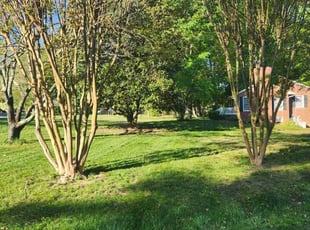 Ken S.'s Grass Cutting service result