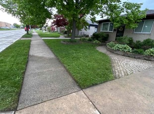 Mary D.'s Lawn Maintenance service result