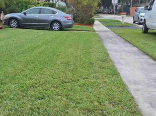 Steven K.'s Lawn Service service result