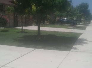 Patrick P.'s Lawn Mowing service result