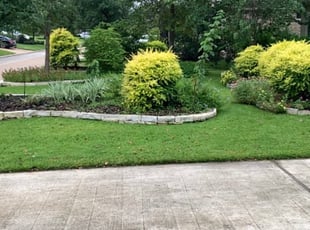 Liz M.'s Lawn Mowing service result