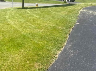 Lorraine S.'s Lawn Service service result