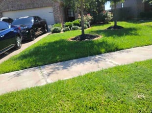 Anthony P.'s Lawn Mowing service result
