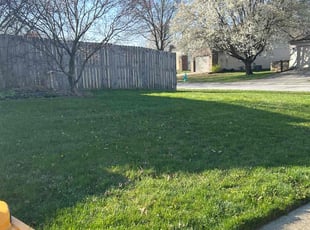 Sabrina R.'s Lawn Mowing service result
