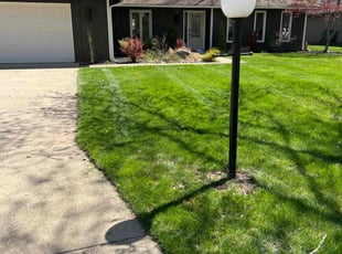 Christena O.'s Lawn Care service result