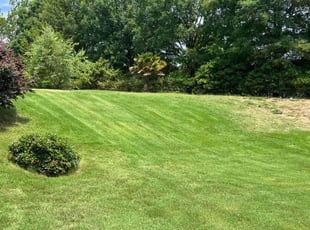 Julie T.'s Lawn Service service result