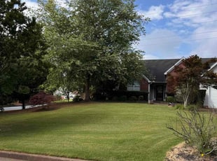 Silvi P.'s Yard Cutting service result