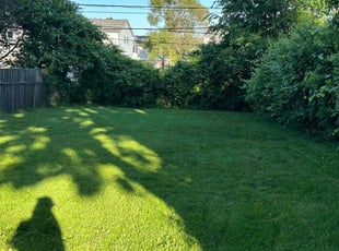 Carla S.'s Lawn Service service result