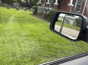Bush Trimming by Eric Buckner for Curtis S. in Florissant, MO