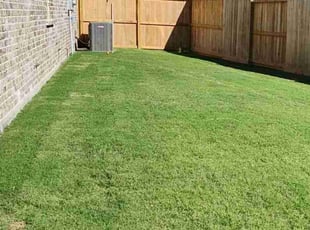 Karyn B.'s Lawn Care service result