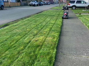 Euvie N.'s Lawn Mowing service result