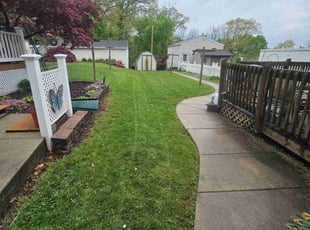 Cindy S.'s Lawn Service service result