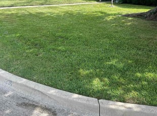 Nakeea K.'s Lawn Mowing Service service result
