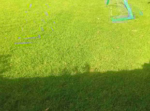 James P.'s Lawn Service service result