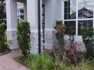 Bush Trimming by Marvel Carmichael for Chris K. in Winter Park, FL