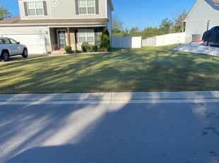 Katie C.'s Yard Cutting service result