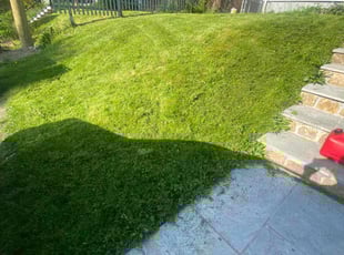 Sarah J.'s Lawn Care service result