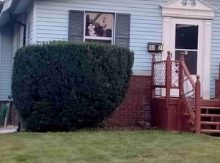 Bush Trimming by Charles Hamlin for Chelsea H. in Omaha, NE