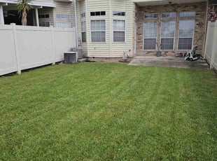 Steven F.'s Yard Cutting service result