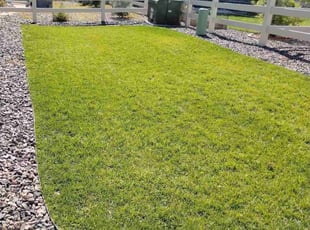 Drew C.'s Lawn Mowing Service service result