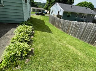 Alayna c.'s Yard Cutting service result