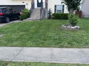 Deborah M.'s Lawn Care service result