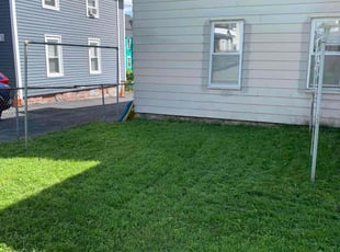 Michelle M.'s Lawn Mowing service result