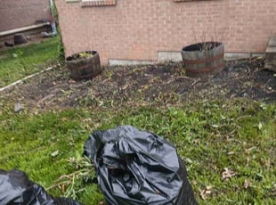 Weeding by Darryl Roseberry for Gene S. in Burlington, KY