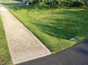"Larry W.'s Lawn Mowing Service service result