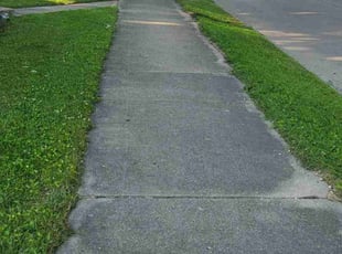 Jeanne T.'s Yard Cutting service result