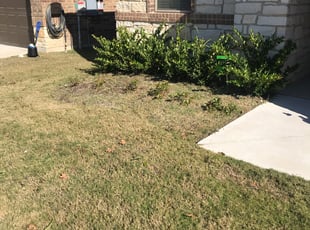 Weeding by Rosendo Rojas for ML B. in Austin, TX